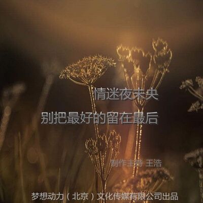 情迷夜未央-别把最好的留到最后