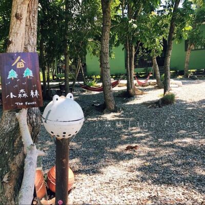 EP20 台東浪人生活紀錄/ 泰源小森林 米麒麟