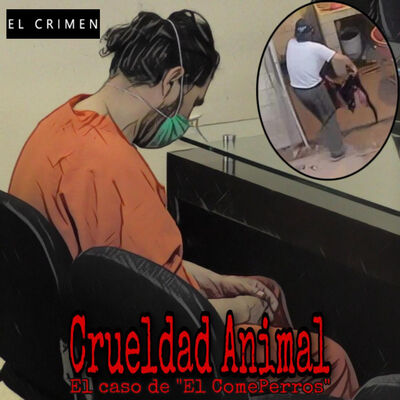 T3 E6 MALTRATO ANIMAL Caso del ComePerros