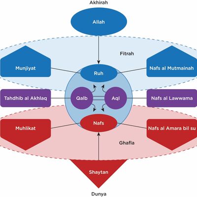 #043: Knowledge of Self: An Islamic Model of the Soul w/ Abdallah Rothman