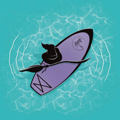 PADDLE - Les festivals magiques de l'été