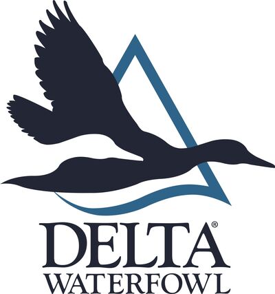 Duck Numbers From Delta Waterfowl - We've Got The Boys On The X