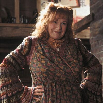 Le Poudcast #45 : Les mamans dans Harry Potter