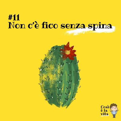 11 - Non c'è fico senza spina