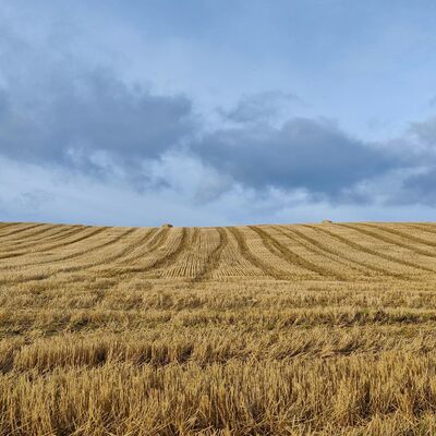 Right Brain Music Podcast Episode 46 - Hidden Headspace Of The Heartland