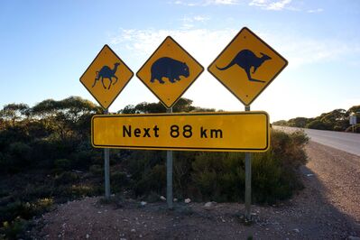 The Even Greater Sydney (and State) Planning Committee