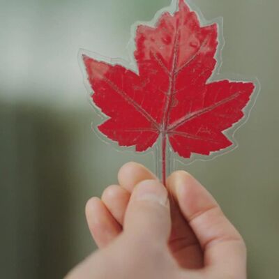 01. Dan Maaf, Aku Baru Menyedarinya Sekarang