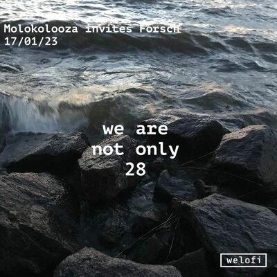 We Are Not Only 28: Forsch