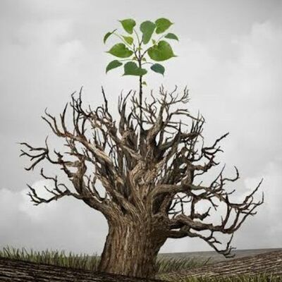 07 - Prinsip Merawat Hubungan