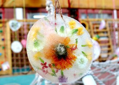 我的作文：冻“冰花”