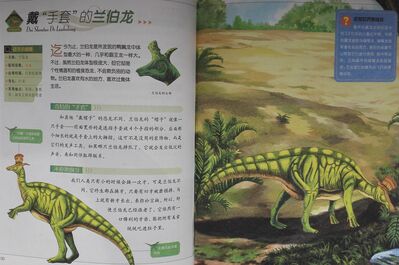 植食恐龙_40戴“手套”的兰伯龙