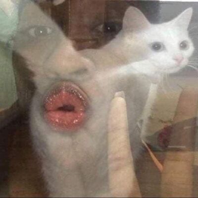 EP66 | 你沒有前科不能代表本黨選議員