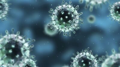 Masterclass con Juan Luis Arsuaga: Luca, la bacteria que explica el origen de la vida
