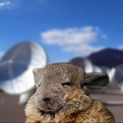 站在高崗上：談工程師在智利阿塔卡瑪沙漠的工作時所見所得