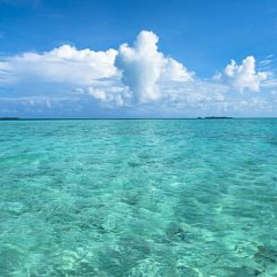 Just ask series : what is an ocean?