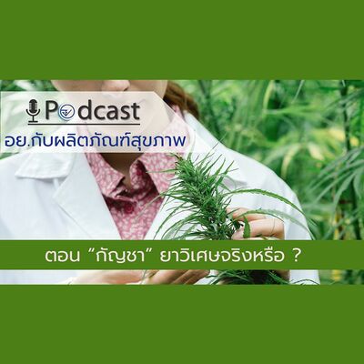 EP.23 เรื่องเล่ากัญชายาวิเศษจริงหรือ ? (FDA Podcast : อย. กับผลิตภัณฑ์สุขภาพ)