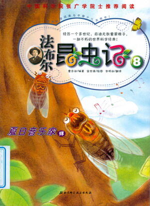 夏日音乐家：蝉（上）