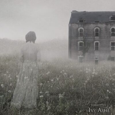 (BEST OF)  I'LL BE SEEING YOU.....STORIES FROM THE AFTERLIFE