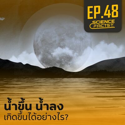 Science Facts EP.48 น้ำขึ้น น้ำลง เกิดขึ้นได้อย่างไร?