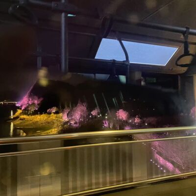 Vol.88 一场未遂的骗局，藏着意料之中的原因 | 散装生活03