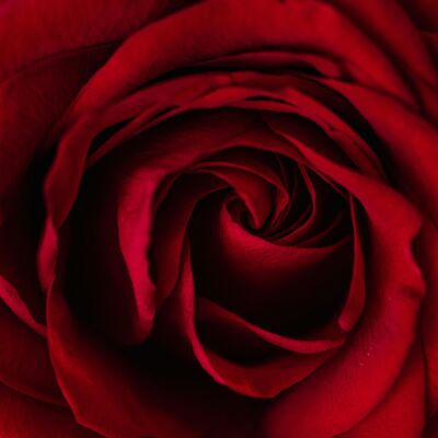 EP99丨聊聊人际关系中的「阴阳和合术」