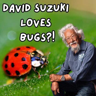 David Suzuki Loves Bugs?!