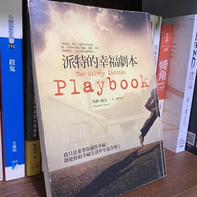 戲院_03_派特的幸福劇本：烏雲銀鑲邊