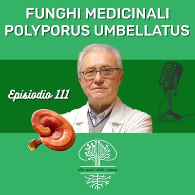 Funghi Medicinali: POLYPORUS UMBELLATUS
