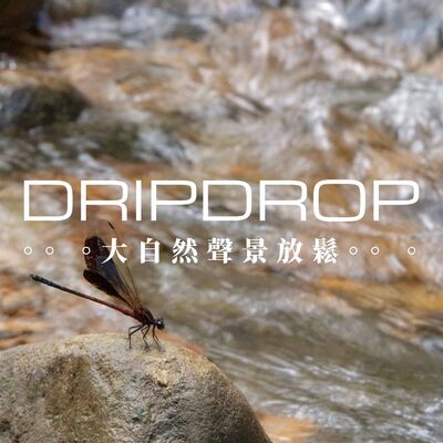 EP06 | 豆娘總是停在高處，為了守護自己的地盤。