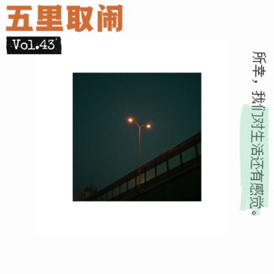 Vol.43：2022 年，值得嚼一下的零碎儿。
