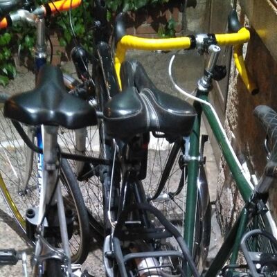 La bici postelectoral y el ecofascismo | Episodio 74