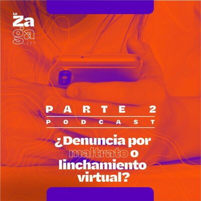 Parte 2 ¿Denuncia por maltrato o linchamiento virtual?