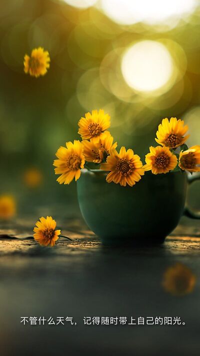 善良，才是最高级的情商