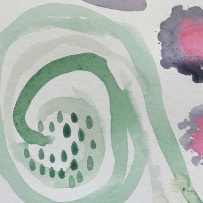 Buurtkruid 5. Salie 🍃 ‘het gebruik gaat al ver terug’