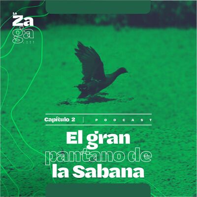 Parte 2: La muerte de un humedal