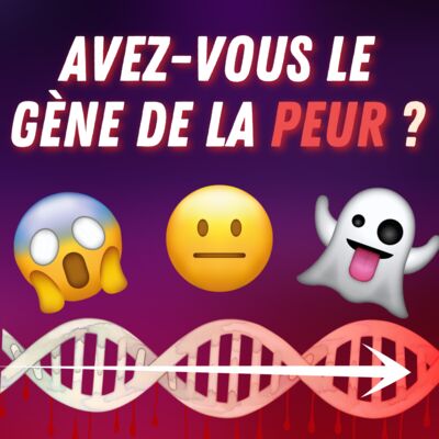 Cirkus Pardubice? Je kokainová aféra nové dno, nebo jde Dynamo přesto nahoru?