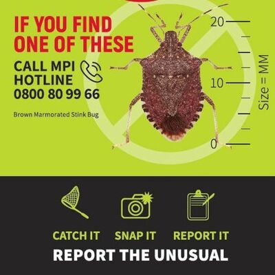 Snapshot - June 2018