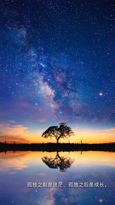 聼從你心，無問西東