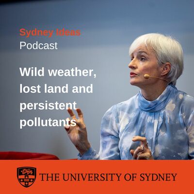 Wild weather, lost land and persistent pollutants