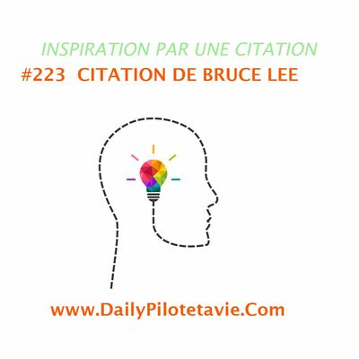 #223 CITATION DE BRUCE LEE
