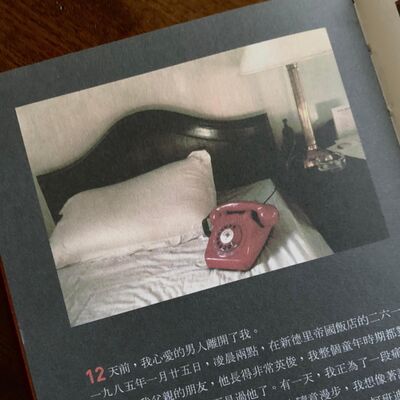 ep7 失去是人生的一包藥 — 讀蘇菲・卡爾《極度疼痛》