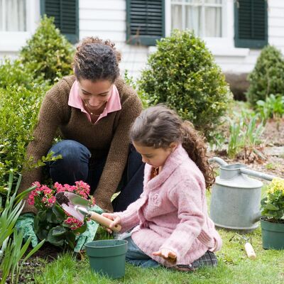 Maintaining the lawn and garden with this smokey air and more!