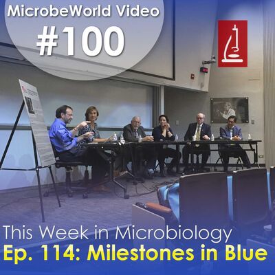 MWV 100 - Milestones in Blue: TWiM 114 live at the University of Michigan