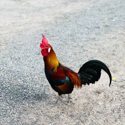 E208 重新开始修行