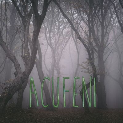Acufeni s07e01 - I disegni dei rami