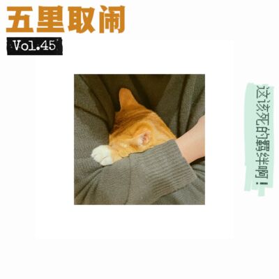 Vol.45：猫养得越久，越后悔当初养它。