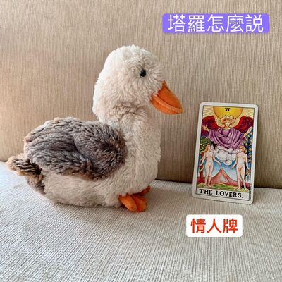 談談戀人牌，戀人牌可能跟你想的不一樣。