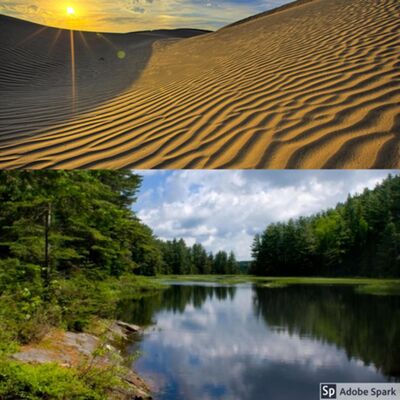 Reversing Effects of Global Warming by Weather Warfare