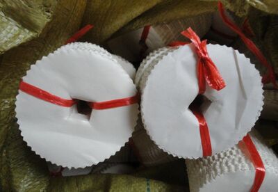 第四十一期：鬼钞票