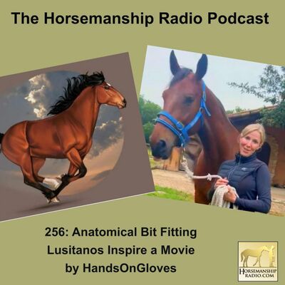 256: Does Your Horse's Tack Really Fit?, Lusitanos Inspire a Movie by HandsOnGloves